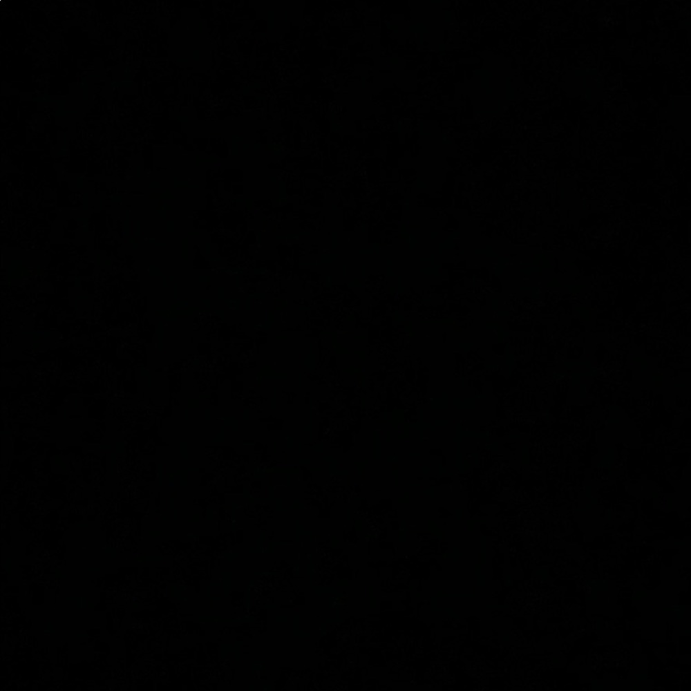 Meet your Posher, Elyssa